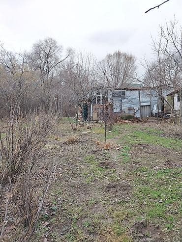 Андам два больших щеночка упитанных в добрые руки ещё есть собачка