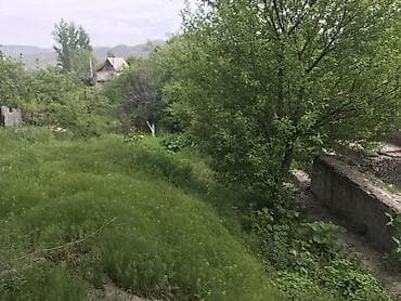 аламединское ущелье: 500 соток — 3