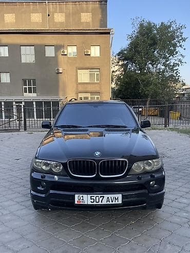 abs e39: BMW X5: 2004 г., 3 л, Автомат, Дизель, Внедорожник — 1