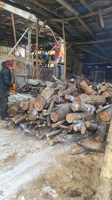 Кеңсе буюмдары: Отун — 8