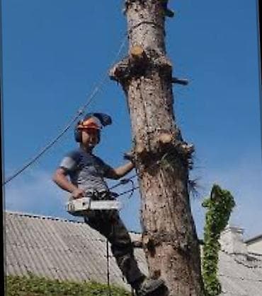 покр: Мелкосрочные работы, Муж на час — 2