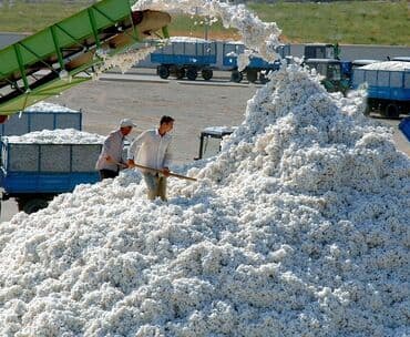 наполнители для кошек: ПАХТА АЛАБЫЗ 
СРОЧНО СРОЧНО СРОЧНО ЗВОНИТЕ
WhatsApp — 2