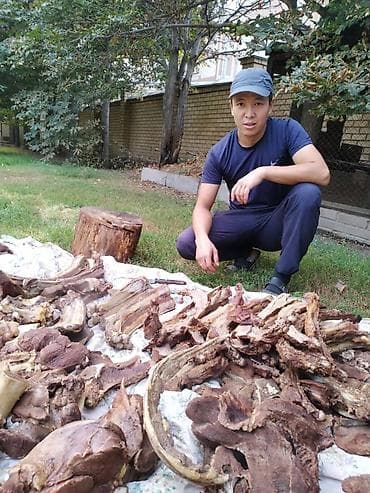 Эт кескичстонок менен той аштарга кызмат кылабызжылкы, уйтопоз