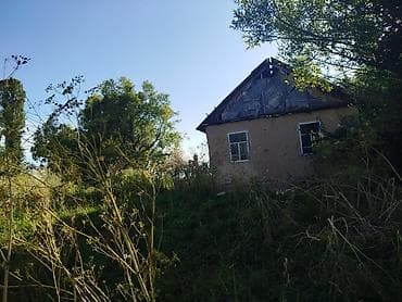 продам дом киргизия 1: 30 соток, Для бизнеса, Красная книга — 5