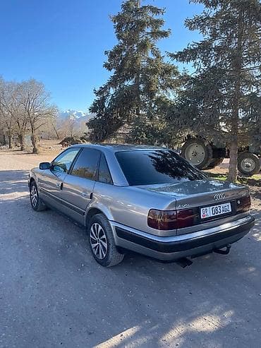 бутка спринтер продажа: Audi 100: 1992 г., 2.6 л, Ручные, Бензин, Седан — 3