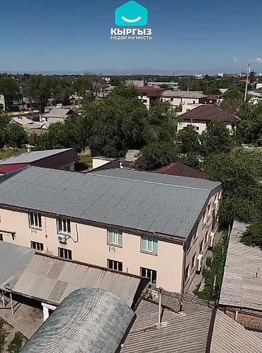 47 соток, Курулуш, Кызыл китеп