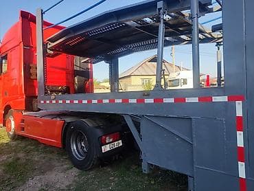 собаки овчарка: Прицеп, DAF, Автовоз — 7