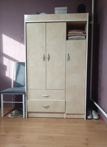 Шкафы для одежды: Шкаф для одежды, Прямой, ЛДСП — 1