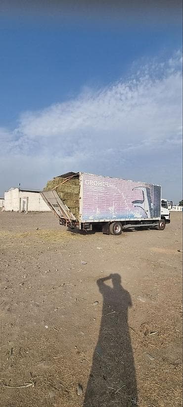 Mercedes-Benz : 1996 г., Дизель