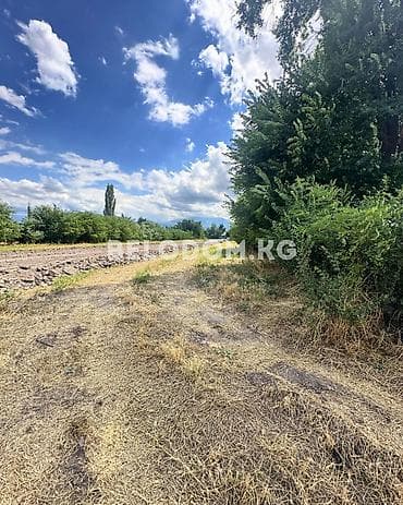 Кыймылсыз мүлк: 4 соток — 3