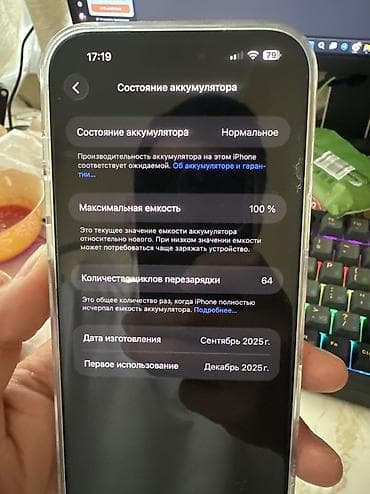 ssd kingston: IPhone 17 Pro Max, Б/у, 256 ГБ, White Titanium, Чехол, 100 % — 3