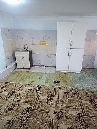 Кыймылсыз мүлк: Студия, Чогуу жашоосу жок, Жарым -жартылай эмереги бар — 1