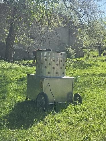 Электрическая перощипальная машина для птицы (барабанного типа) - — 4