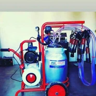 доильный аппарат для домашнего использования цена: Дойка! Доильные аппараты новые. Турецкого производство. Фирма Ак Çay — 1