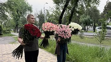 кустовые розы букет: Большие моносборные букеты роз - Ассортимент оттенков — 4