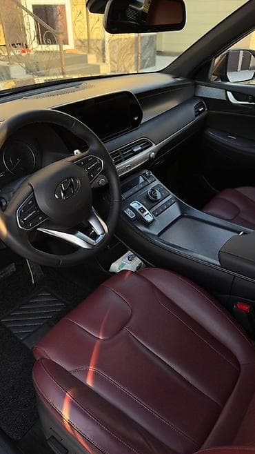 16v: Hyundai Palisade: 2019 г., Автомат, Дизель, Кроссовер — 10