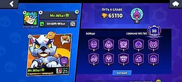 Продажа игрового аккаунта Brawl Stars Оплато Мбанк Основное: - Ник
