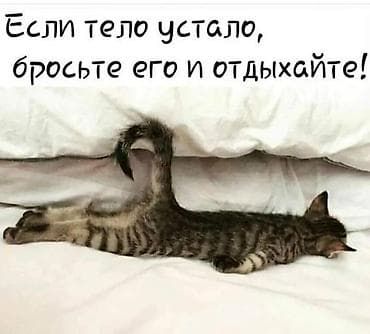 Ищу работу горничной или в сфере общепита. опыт имеется. о себе: 40