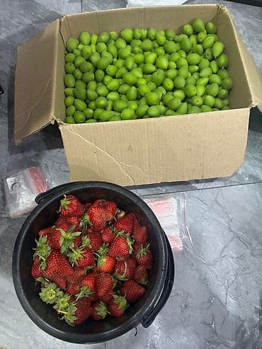 цена вишни на рынке: Абрикосы — 5