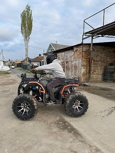 квадроцикл цены: Квадроцикл Бензин, 250 куб. см, Взрослый — 2