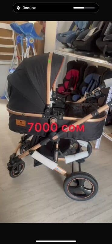 прогулочные коляски для зимы: Коляска, цвет - Черный — 5