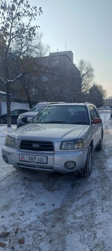 я ищу форестер: Subaru Forester: 2004 г., 2 л, Автомат, Бензин, Универсал — 5