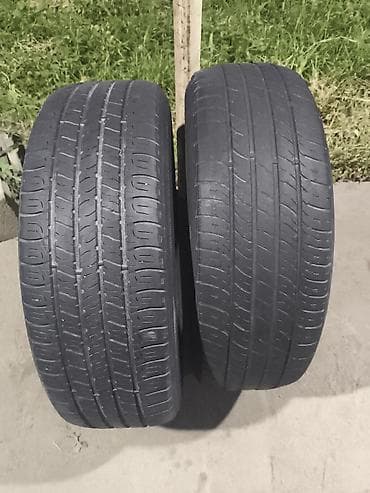 17: Шины 225 / 65 / R 17, Лето, Б/у, Пара, Внедорожные (АТ/МТ), GoodYear — 1