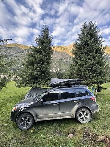 Продажа авто: Subaru Forester: 2010 г., 2.5 л, Автомат, Бензин, Кроссовер — 8