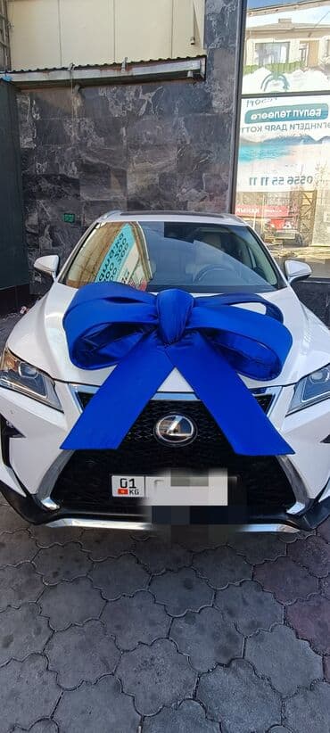 новогоднее оформление: Организация мероприятий | Гелевые шары, Аниматоры, Оформление мероприятий — 4