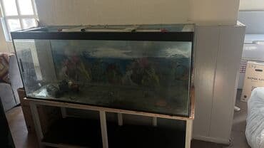 Продается аквариум с подставкой