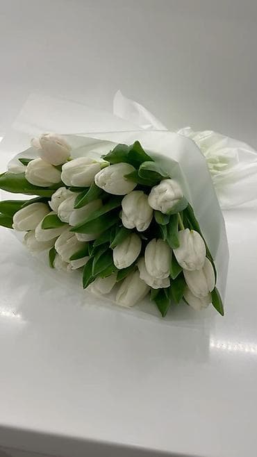 продажа тюльпанов оптом: Тюльпаны — свежесрезанные, плотные бутоны на упругих длинных стеблях — 6