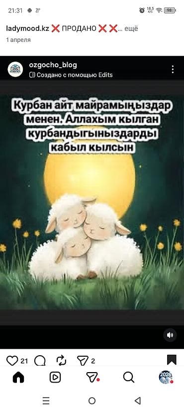 кий бильярда: Птица-символ с иллюстрацией «голубь и монеты» — графический макет для — 3