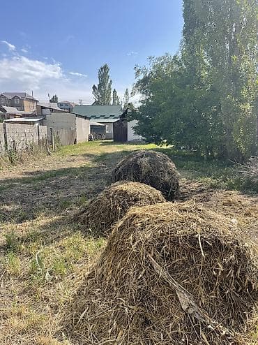 Продажа участков: 4 соток, Для строительства, Красная книга — 9