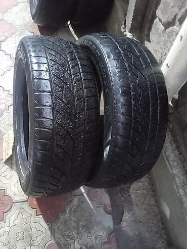 Шиналар 205 / 55 / R 16, Кыш, Жуп, DUNLOP — 1