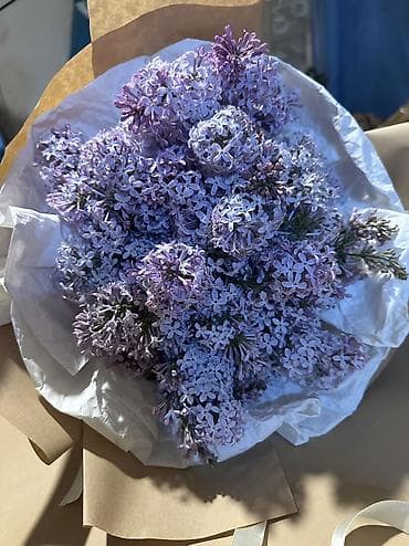 ваза для цветов бишкек: Сиреневые букеты ручной сборки 400 сом 800 сом 1000 сом 1500 сом — 7