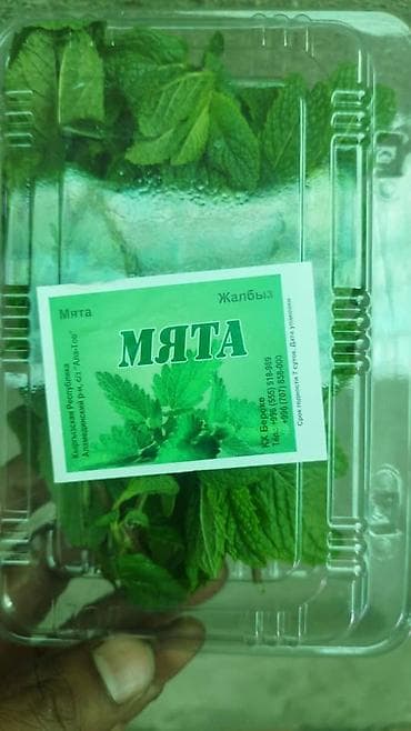 Реализуем Израильский сорт мяты. При выращивании используем — 2
