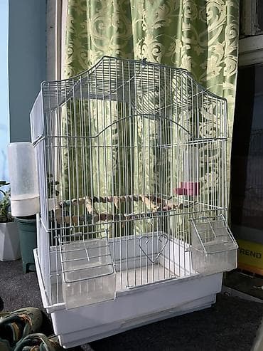 животное на у: Защитные сетки от птиц, Самовывоз, Бесплатная доставка, Платная доставка — 3