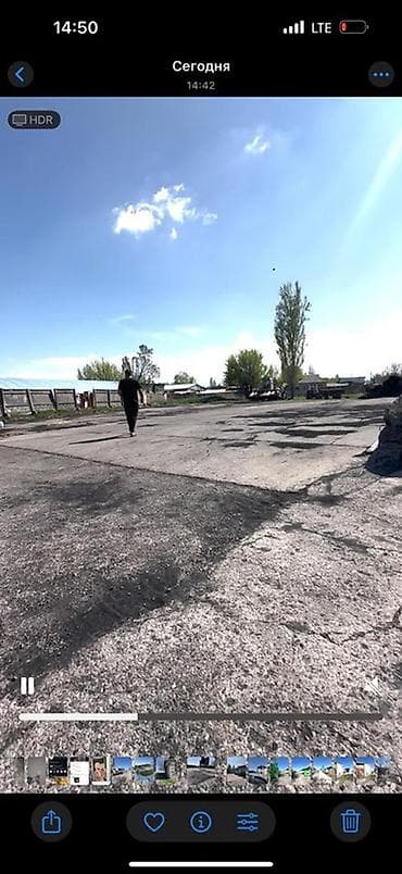 сельхоз участки: 200 соток, Для бизнеса, Красная книга — 5