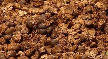 Навоз недорого