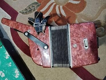 гитаа: Аккордеон (пятиклапанный регистр, классическая компоновка) - — 5