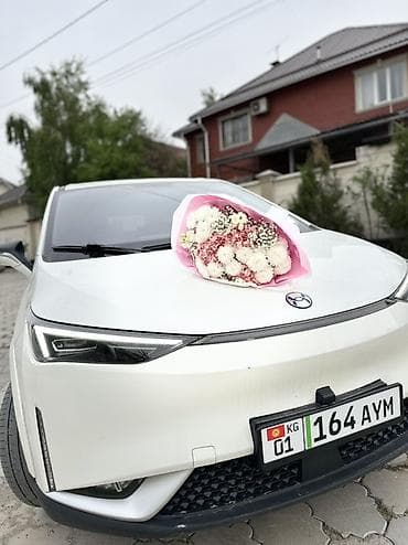 JAC : 2022 г., Электромобиль, Хэтчбэк