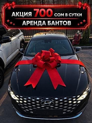 стоимость лука: 🚘АКЦИЯ — всего 700 сом/сутки! Подходит на любую машину Предлагаем — 1