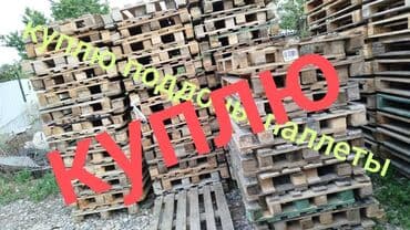 цветы искусственные бишкек: Куплю Паддон — 1