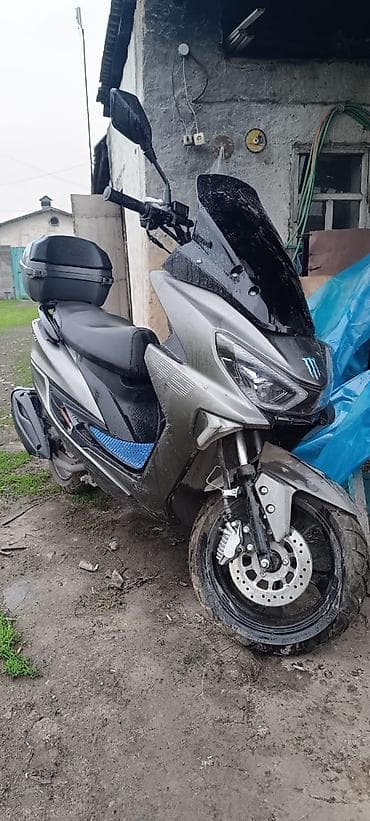 cruiser 80: Скутер макси-класса с ветровиком и багажным кофром(GTIGER) - Кузов — 2