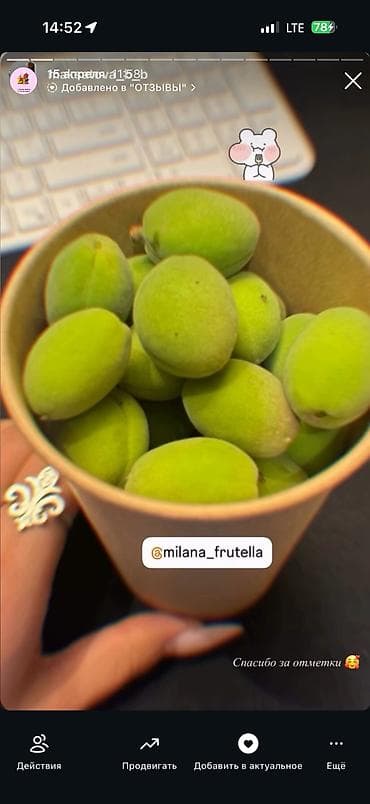 цена на вишню: Чалбагыла все равно жооп бербейм ЖАЗГЫЛА ВОТСАП конец сезона ‼️ көк — 7