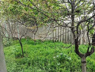 Сниму дом: 100 м², 5 комнат — 6