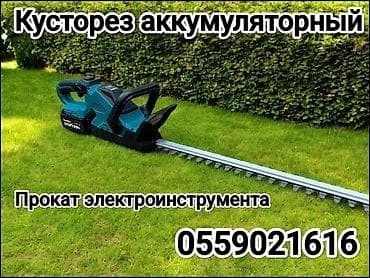 електира пила: Аренда садовой техники, Кусторез — 1