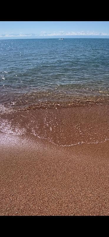 royal yard: 🏖️ Сдаются 2-местные и 4-местные комнаты на Иссык-Куле! 📍 Бостери 📍 — 8