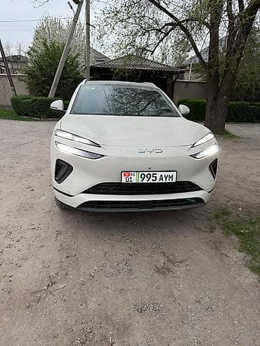 gbt dc: BYD Sea Lion 06: 2026 г., Электромобиль, Кроссовер — 1