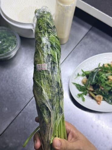 насос для повышения давления воды с автоматическим включением: Гидрофор (поверхностная насосная станция) LEO с баком. Основные — 3